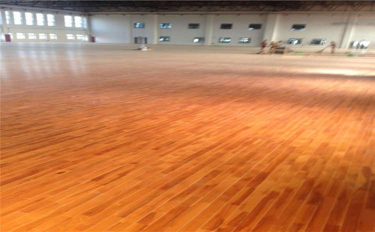 學校籃球場木地板品牌電話