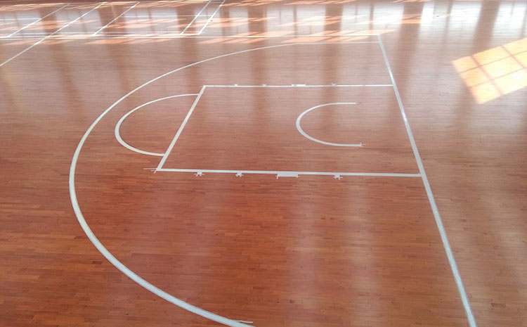 篮球馆运动木地板白蚁害处有多大？