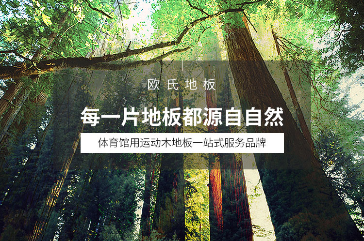 杭州专业运动木地板公司