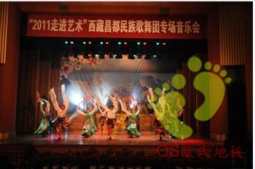 昌都民族歌舞团舞蹈地胶铺设欧氏地板案例