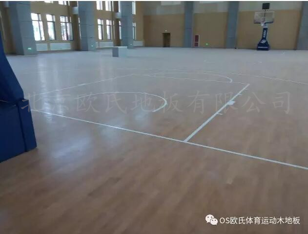 淄博市桓台县城南学校体育馆木地板案例图2