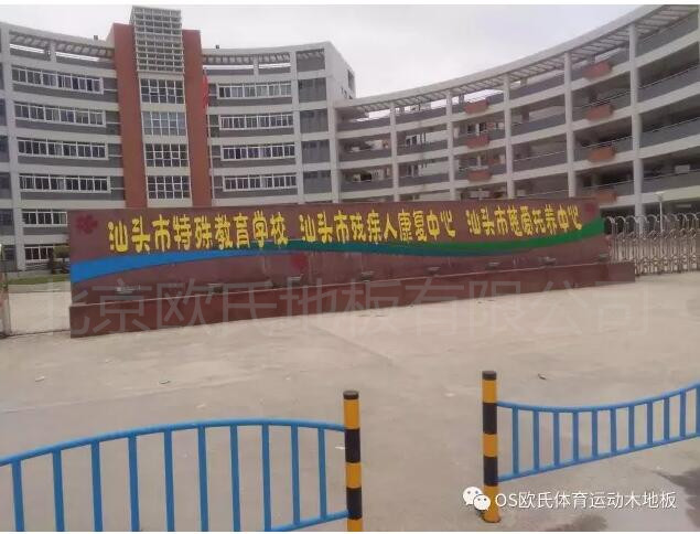 汕头特殊教育学校篮球馆木地板案例图1