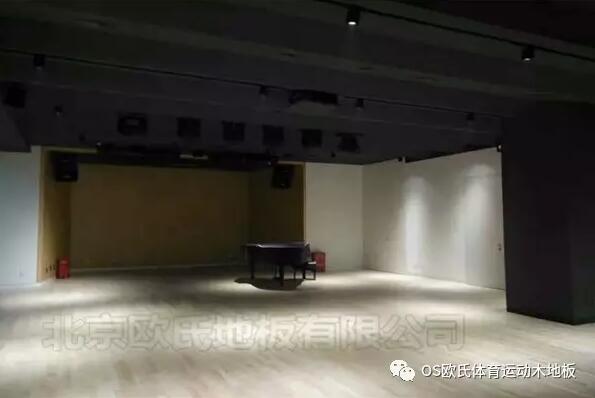 韩国大使馆文化院多功能厅实木运动地板成功案例图4