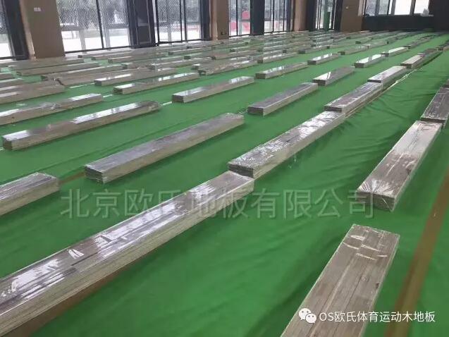 河南周口市沈丘青少年活动中心体育馆运动木地板成功案例-1