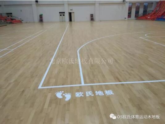 临沂市理工学校体育馆木地板成功案例