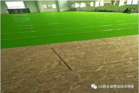 广东YBDL江门 HOOP PARK篮球公园成功案例