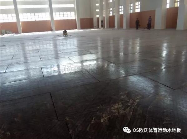 温州瓯海区外国语学校初中分校运动木地板案例