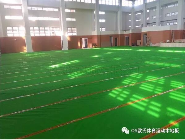 温州瓯海区外国语学校初中分校运动木地板案例