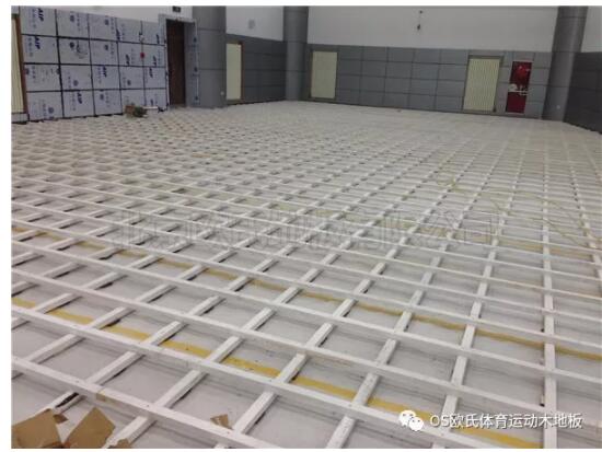 中国人民银行玉树藏族自治州中心支行篮球馆木地板案例