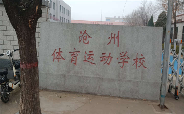 河北沧州体育学校体育馆专用木地板项目