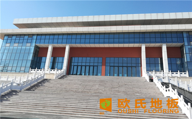 山东潍坊临朐县体育中心木地板案例