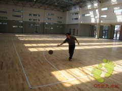 小韩小学篮球木地板施工案例