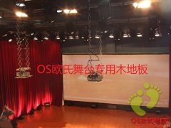 广州市番禺区第二少年宫舞台木地板案例